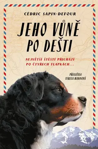 Romantická beletria Jeho vůně po dešti - Cedric Sapin-Defour