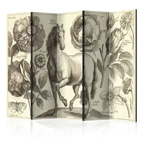 Paravány Paraván Horse Dekorhome