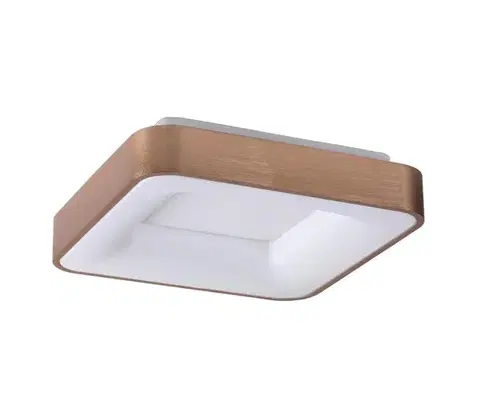 Svietidlá Rabalux 5056 - LED Stropné svietidlo CARMELA LED/30W/230V 5056