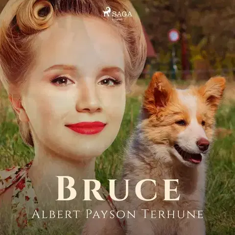 Beletria - ostatné Saga Egmont Bruce (EN)