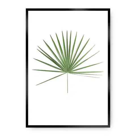Obrazy Plagát Tropical Leaf Green