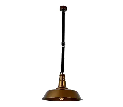 Svietidlá Zam 22225 - Luster na lanku 1xE27/40W/230V 22225