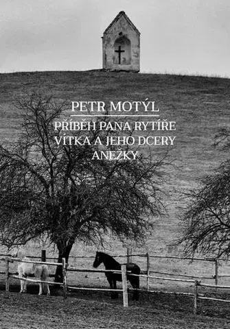 Česká beletria Příběh pana rytíře Vítka a jeho dcery Anežky - Petr Motýl