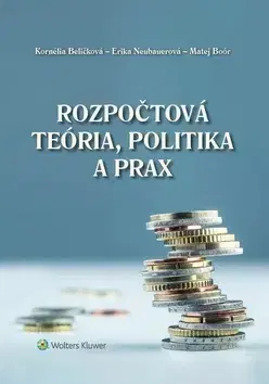 Pre vysoké školy Rozpočtová teória, politika a prax - Kornélia Beličková,Erika Neubauerová,Matej Boór