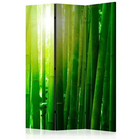 Paravány Paraván Sun and bamboo Dekorhome