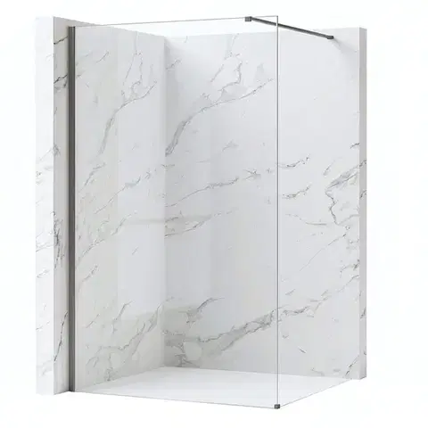 Sprchové dvere REA/S - Sprchová zástena Flexi Transparent / Titan 70 KPL-K99468