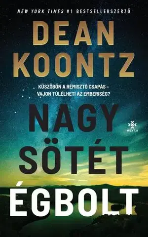 Detektívky, trilery, horory Nagy, sötét égbolt - Dean Koontz,Veronika Farkas