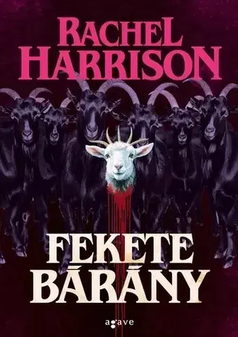 Detektívky, trilery, horory Fekete bárány - Rachel Harrison