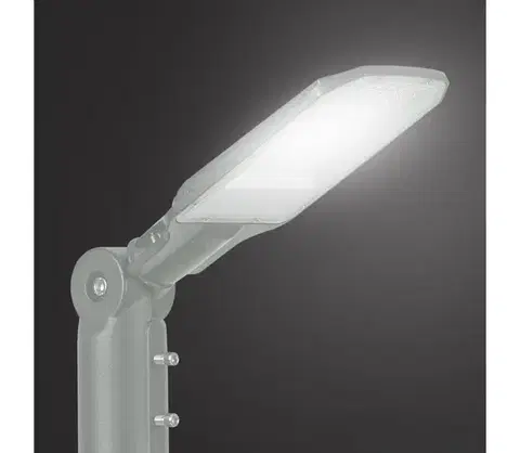 LED osvetlenie BRILAGI - LED Vonkajšia uličná lampa URBANLIGHT LED/50W/230V sivá IP65 BRI787