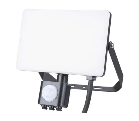 Záhradné lampy  LED Vonkajší reflektor so senzorom LED/30W/230V 5000K IP44 EKN9019