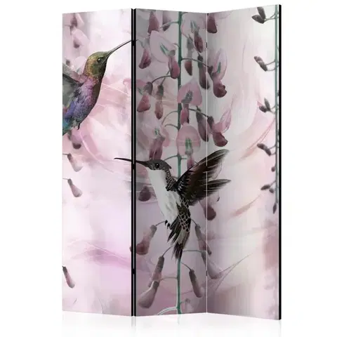 Paravány Paraván Flying Hummingbirds (Pink) Dekorhome