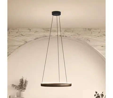 Svietidlá Eglo 390451 - LED stmievateľný luster na lanku TRABUCO 2xLED/19W/230V 2200-6500K hnedá 390451