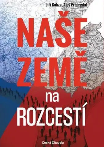 Politológia Naše země na rozcestí - Jiří Kobza,Aleš Přichystal