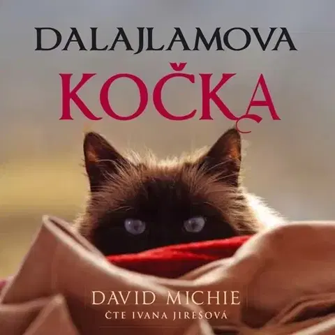 Filozofia Synergie Dalajlamova kočka