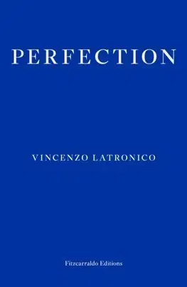 Svetová beletria Perfection - Vincenzo Latronico,Sophie Hughes