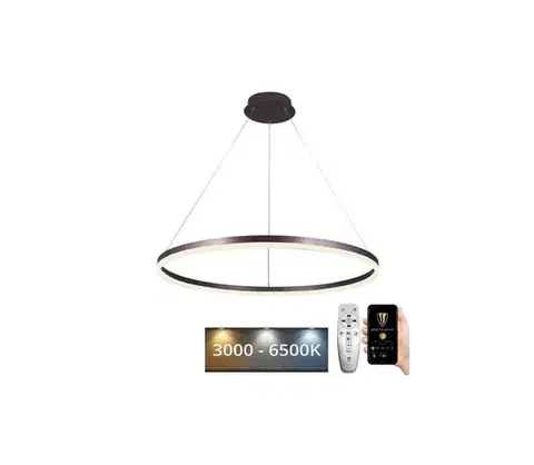 Svietidlá  LED Stmievateľný luster na lanku LED/55W/230V 3000-6500K + diaľkové ovládanie J4309/BR