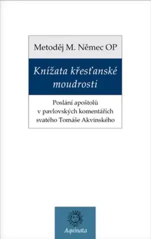 Filozofia Knížata křesťanské moudrosti - Metoděj Němec