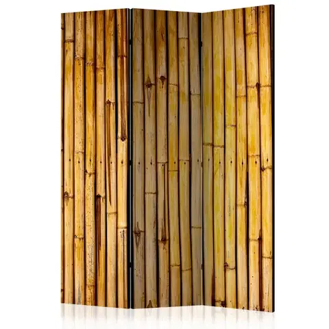 Paravány Paraván Bamboo Garden Dekorhome