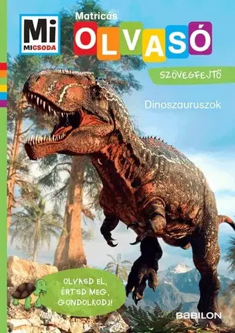 Príprava do školy, pracovné zošity Mi Micsoda Olvasó – Dinoszauruszok - Christina Braun,Mán Várhegyi Réka