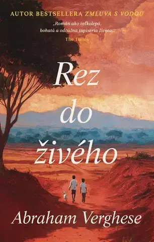 Romantická beletria Rez do živého - Abraham Verghese