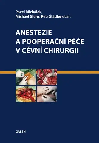Medicína - ostatné Anestezie a pooperační péče v cévní chirurgii - Pavel Michálek,Stern Joshua Michael,Petr Štádler