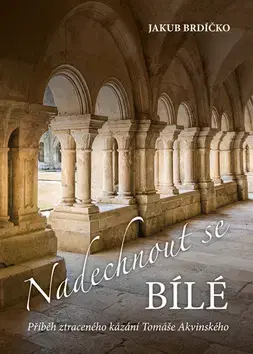 Historické romány Nadechnout se bílé - Jakub Brdíčko