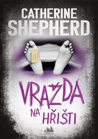 Detektívky, trilery, horory Vražda na hřišti - Catherine Shepherdová