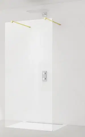 Sprchové dvere Sprchová zástena SAT Walk-in 60 cm SATBWI60PRMO SATBWI60PRMO