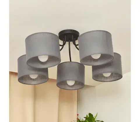 Svietidlá  Prisadený luster ALBA 5xE27/15W/230V sivá P-2015/5 BK+GR