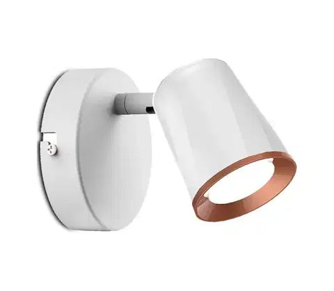 Svietidlá  LED Nástenné bodové svietidlo LED/5W/230V 4000K biela 218252