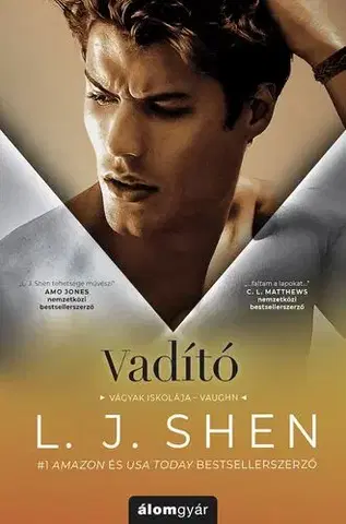Romantická beletria Vágyak iskolája 3: Vadító - L. J. Shen