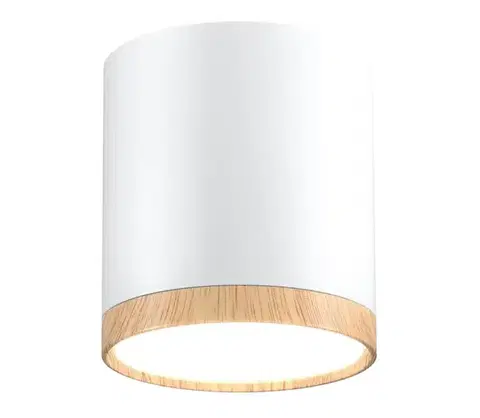Svietidlá  LED Stropné svietidlo TUBA LED/5W/230V biela/béžová 2273624