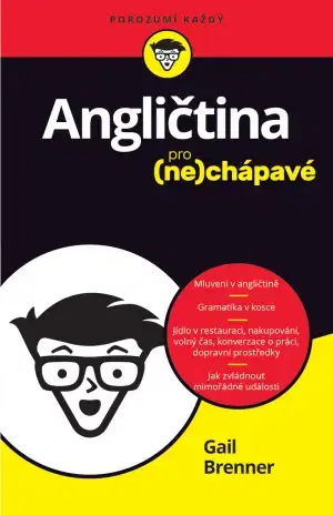Učebnice a príručky Angličtina pro nechápavé - Gail Brenner