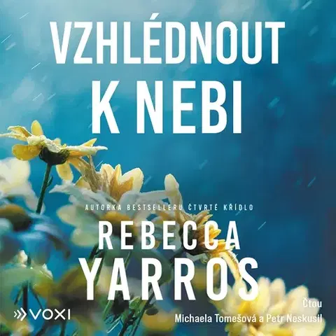 Romantická beletria Voxi Vzhlédnout k nebi