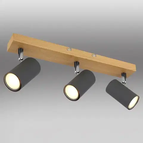 Lampy do obývačky Stropné bodové svietidlo 57911-3G grafit LS3