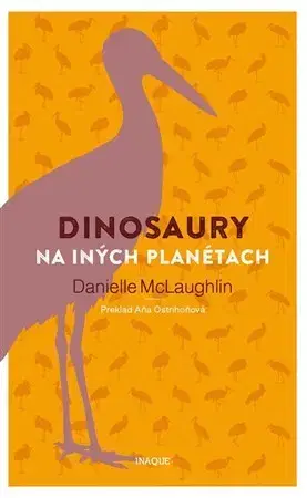 Novely, poviedky, antológie Dinosaury na iných planétach - Danielle McLaughlin