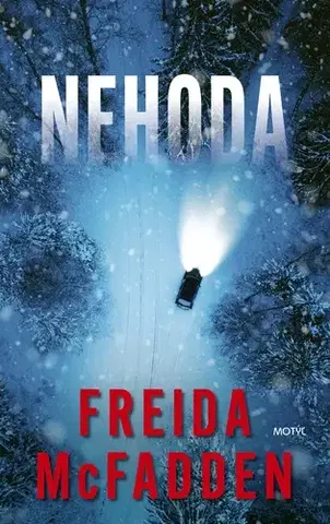 Detektívky, trilery, horory Nehoda - Freida McFadden,Dorota Lamačková