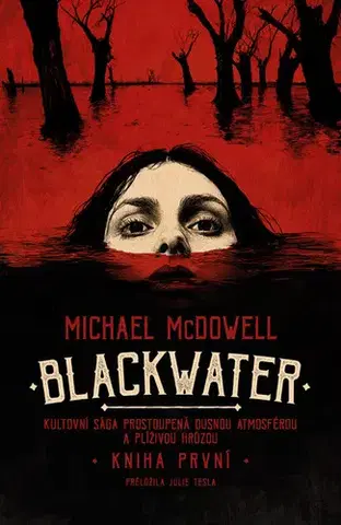 Detektívky, trilery, horory Blackwater: kniha první - Michael McDowell