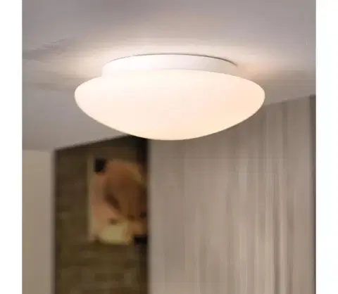 Svietidlá Eglo 81635 - Stropné svietidlo ELLA 1xE27/60W/230V 81635