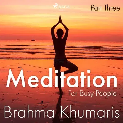 Duchovný rozvoj Saga Egmont Meditation For Busy People – Part Three (EN)