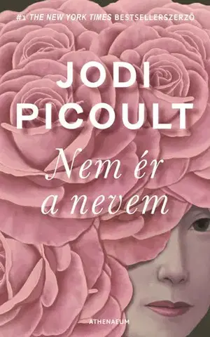 Svetová beletria Nem ér a nevem - Jodi Picoult