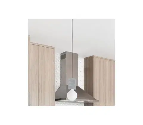 Svietidlá Eglo 43597 - Závesné svietidlo na lanku PRESTWICK 1xE27/40W/230V 43597