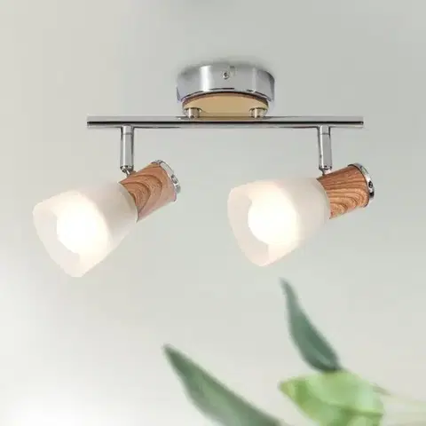 Lampy do obývačky Luster Robin 2 AS-ROE142NW LS2