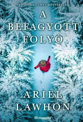 Historické romány A befagyott folyó - Ariel Lawhon