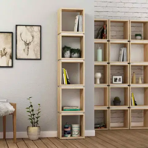Regály Knižnica SEINA, dub / biela