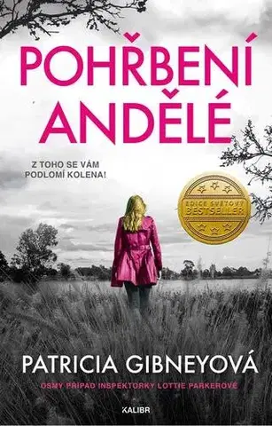 Detektívky, trilery, horory Pohřbení andělé - Patricia Gibney