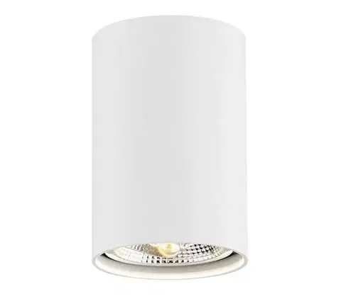 Svietidlá Argon 4910 - Bodové svietidlo TUBO AR111 1xGU10/15W/230V biela 4910