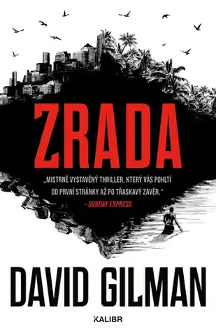 Detektívky, trilery, horory Zrada - David Gilman