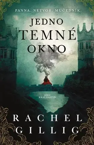 Young adults Jedno temné okno - Rachel Gilling