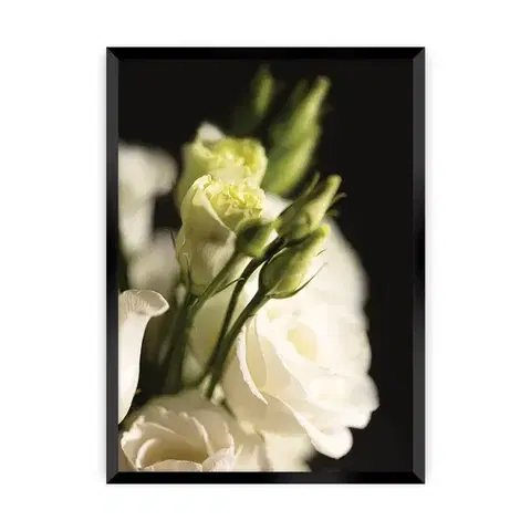 Obrazy Plagát Dark Flowers I